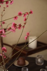 5BB6D069-3E00-4FF2-8AD2-78FBA8F5F7B0/L0/001