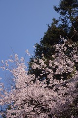 91B00F7D-FD0B-4C19-989F-96959557188A/L0/001