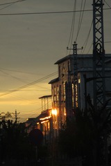 1909581