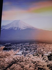 BF5C7A16-FD8D-44E4-9B20-A2B029EA646E/L0/001