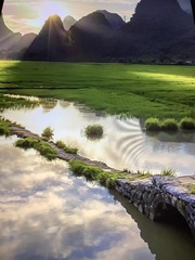 268289CB-1BDE-442A-B871-F68DA01EF7C8/L0/001