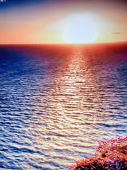 2999F4BB-0144-47D5-8C45-E91619112A58/L0/001