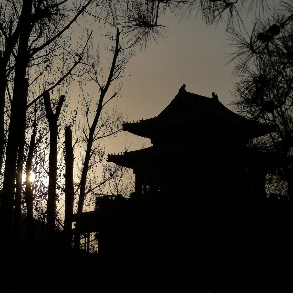 夕阳  落日  古风  剪影  古建筑  楼