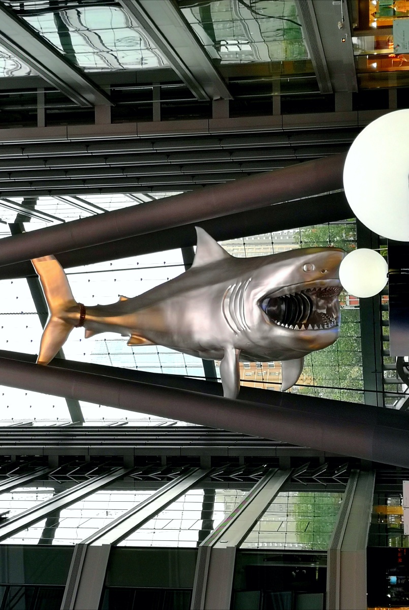 鲨鱼 雕塑  室内