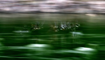 FC0A76DA-9403-4FBD-A8CC-E4C408EE1C73/L0/001