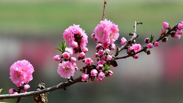 142863AD-45AE-4D60-8679-12548F5551A5/L0/001