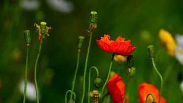 F5563EDB-D5A2-4D8F-97D4-77B051079B11/L0/001