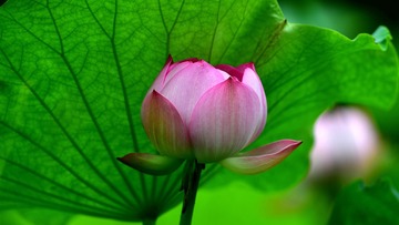 FAB14D0B-392F-4004-8049-CE1D028F7281/L0/001