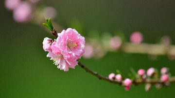 6BB48452-404B-4716-847B-93B13C460623/L0/001