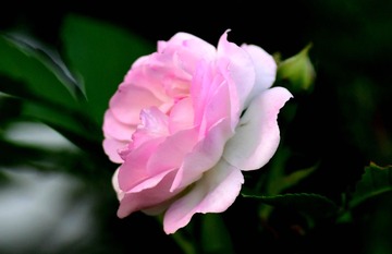 91AF0A72-7F08-4D7D-9021-C126C17D6AB2/L0/001