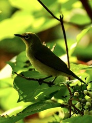 3872E01E-37B2-45AD-9BB4-5CC4435DC563/L0/001