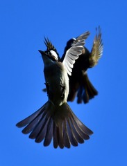 060B3310-812C-46F7-A6BD-E8E2E92A2727/L0/001