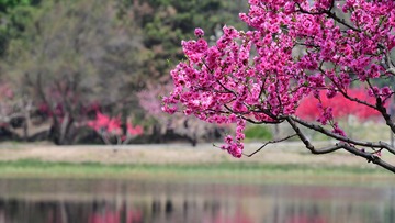 D8006C4F-0E12-4D79-9456-D18A91599E63/L0/001