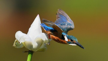 3927F4DD-D691-4D83-ADAB-02F0FE4D5453/L0/001