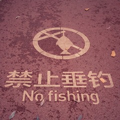D0CE93C9-092D-4B71-B042-0A03FC147517/L0/001