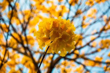 2703F775-335B-447E-A978-542B30636549/L0/001