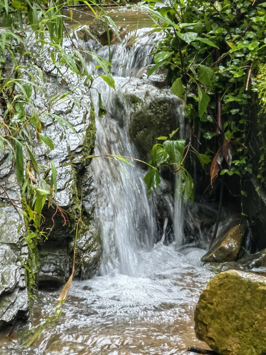 山间小溪之美.