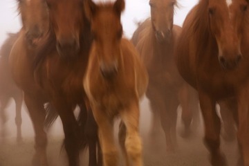 run