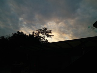 124050