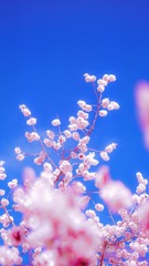 B1A40717-4F04-4E33-98D4-E7F328AB9D89/L0/001