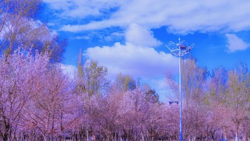 4182103C-4050-4616-815F-32105B89D50F/L0/001