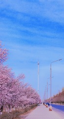 A0F0C853-51BD-418B-B0E2-7D4EE6BB6B61/L0/001