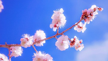 B12B1577-6DB6-41A1-A99C-F5A8D8EDD1DF/L0/001
