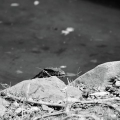 195041