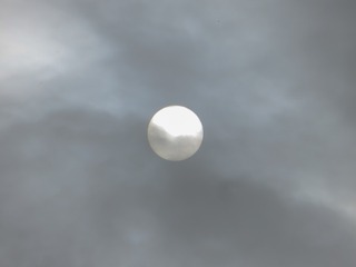 1143699