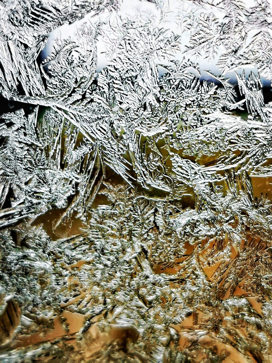 冰窗花迎新年四九寒冬冰天雪地冰窗花迎新年