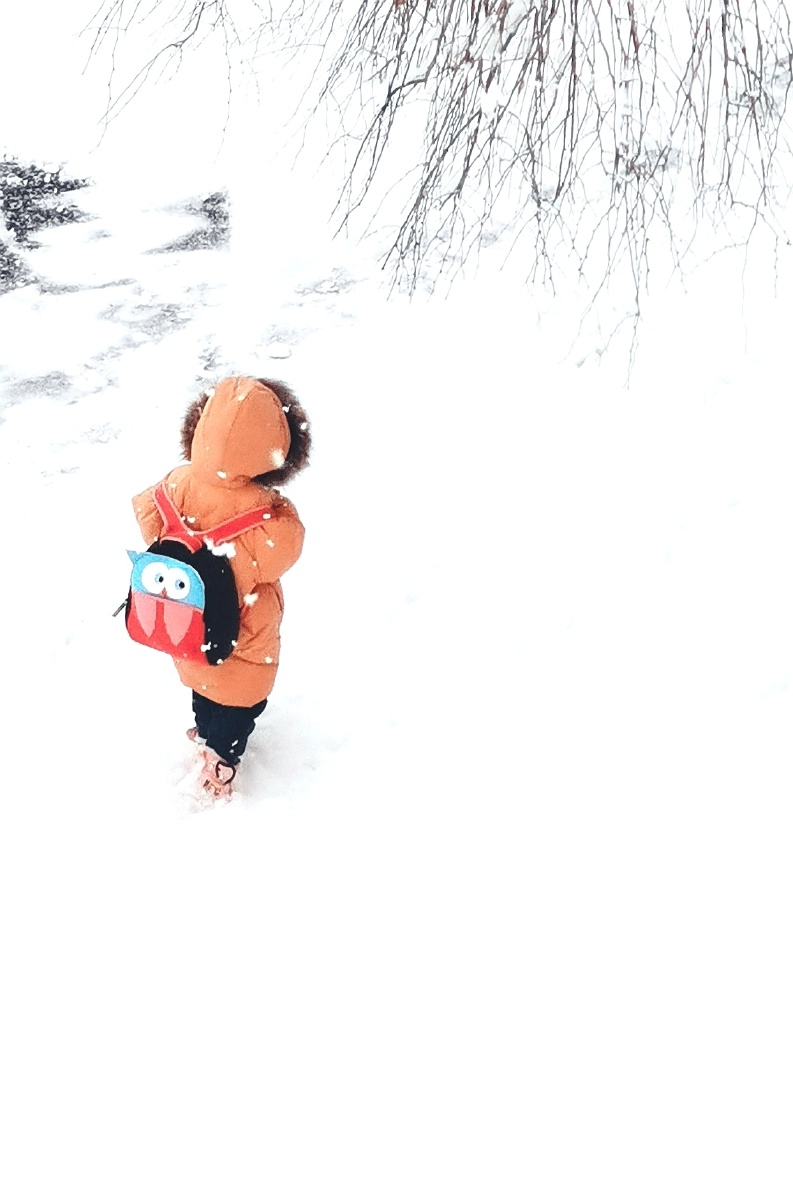 成长冬天雪花脚印小学生小路上上学去