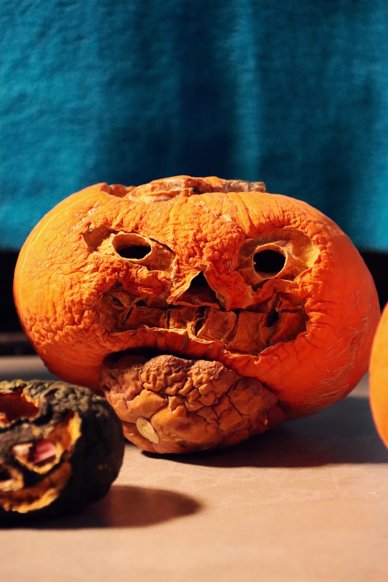 万圣节一个月后?干瘪的南瓜灯?,更有味道了,胆小者勿入