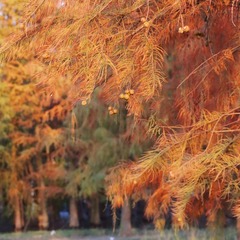 9323A20C-C6DB-4E84-A745-43C0D0E3361C/L0/001