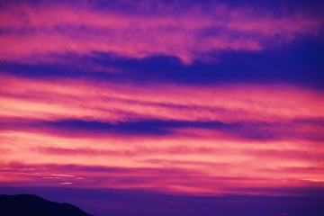 36BB69B9-2740-419A-8B0B-4D0D2CF7E935/L0/001