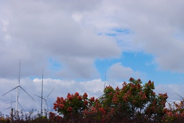 FF21D196-299B-400B-86BC-9FCD9E02B0A4/L0/001