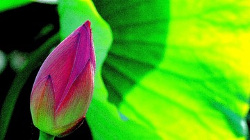 132041