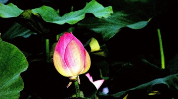132040
