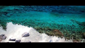 IMG_0885.jpg