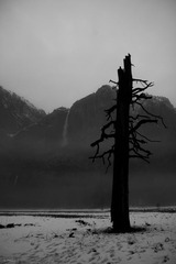 lonely
