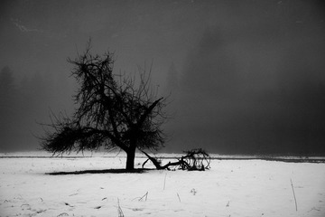 lonely-2