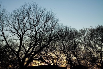 SUNSET IN DC