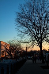 sunset in D.C