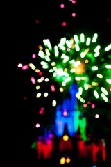 @magic kingdom