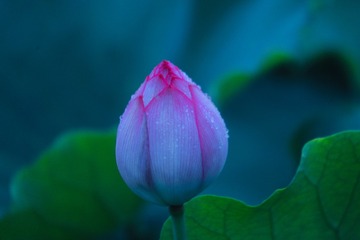 1B941A4E-BCE0-4F35-BC27-42C8E6776A2F/L0/001