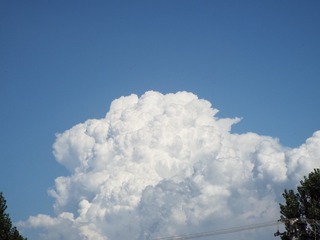 CF308536-C16B-4463-8FC8-107645CFFAE6/L0/001