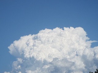 7B3C5540-6E88-4F5C-8AA0-507CD09A6775/L0/001