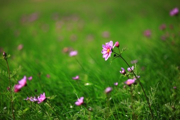 B91212EF-78F0-49EC-B017-E170E57C7555/L0/001