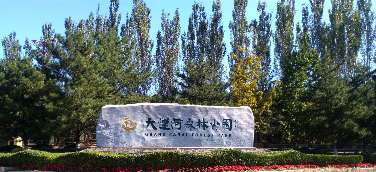 正门大运河森林公园1