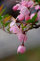 98431AA4-54CF-44A5-9D38-36921FD868B4/L0/001