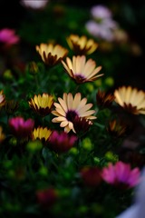 EA7258D7-CEC4-4802-AE01-09987F0A7B1C/L0/001